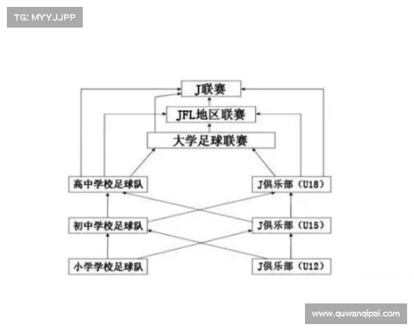 CBA大学生球员培养体系探索与发展路径分析 CBA大学生球员培养体系探索与发展路径分析